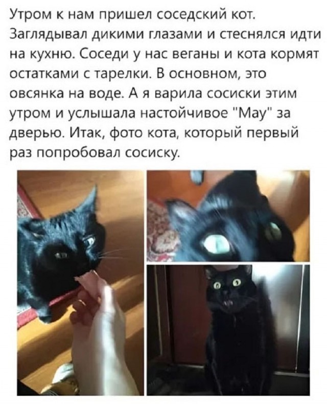 Новый понедельник – новые шутки! Новый понедельник – новые шутки! native-yes