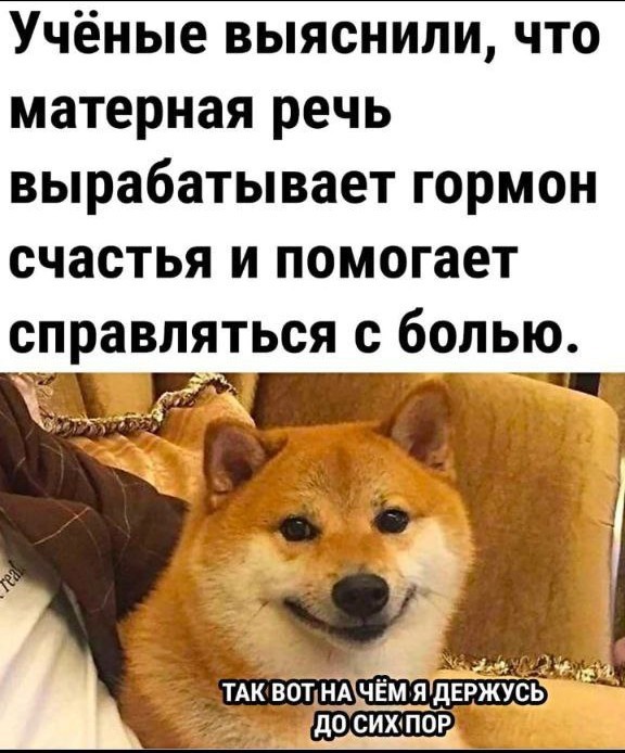 Зимняя хандра? Не, не слышали! Ловите порцию мемов, чтобы улыбка не сходила с лица! native-yes