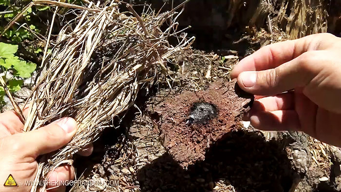 Реально ли разжечь огонь с помощью пакета с водой Реально ли разжечь огонь с помощью пакета с водой native-yes