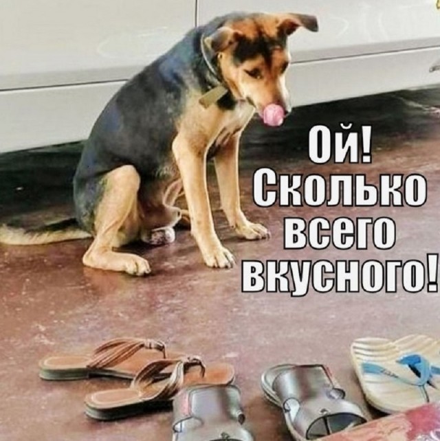 Новый понедельник – новые шутки! Новый понедельник – новые шутки! native-yes