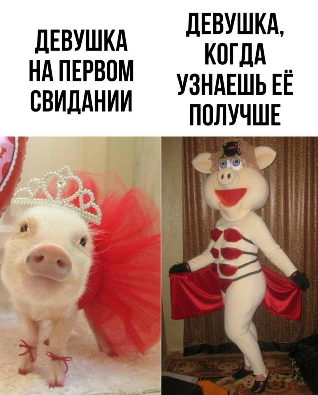 Новый понедельник – новые шутки! Новый понедельник – новые шутки! native-yes