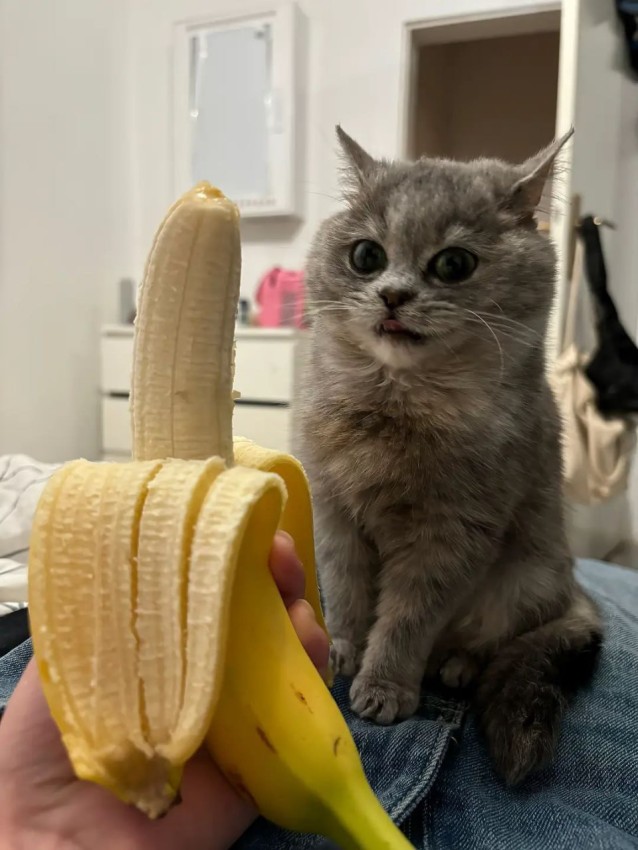 Маленькая пятница– большой позитив! Маленькая пятница– большой позитив! native-yes