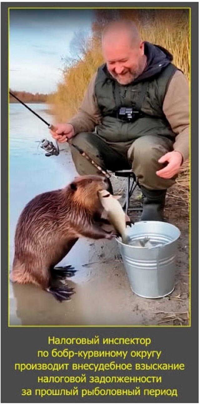 Понедельник с улыбкой: свежие мемы для позитивного старта рабочей недели! native-yes