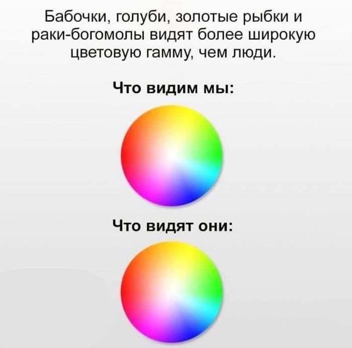 Пятница – время смеяться! Большой сборник шуток и приколов! Пятница – время смеяться! Большой сборник шуток и приколов! native-yes