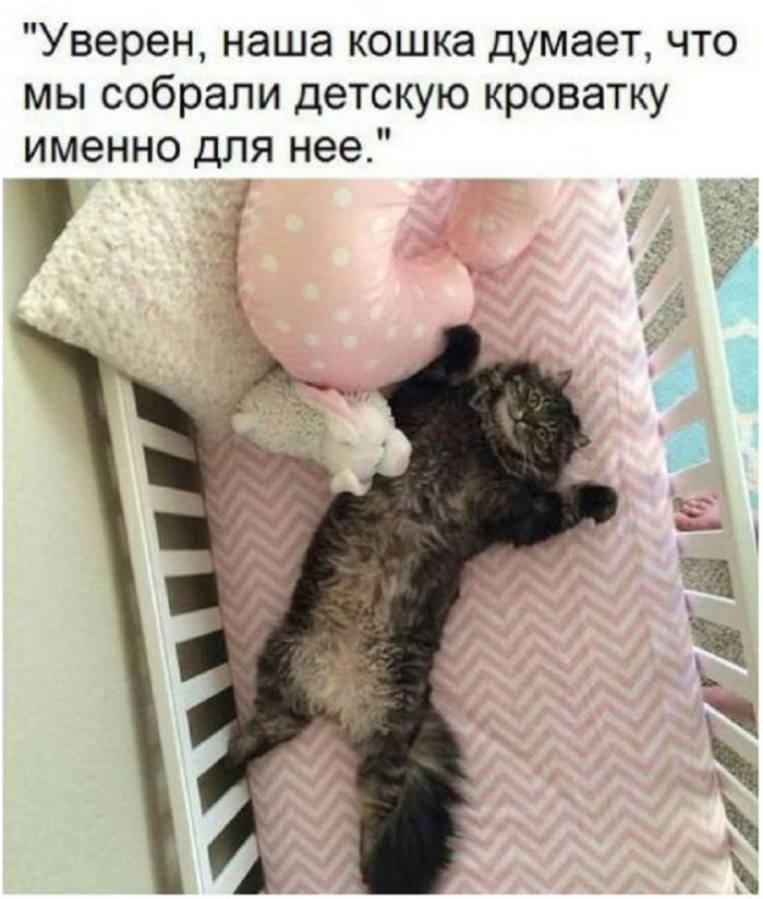 Маленькая пятница– большой позитив! Маленькая пятница– большой позитив! native-yes