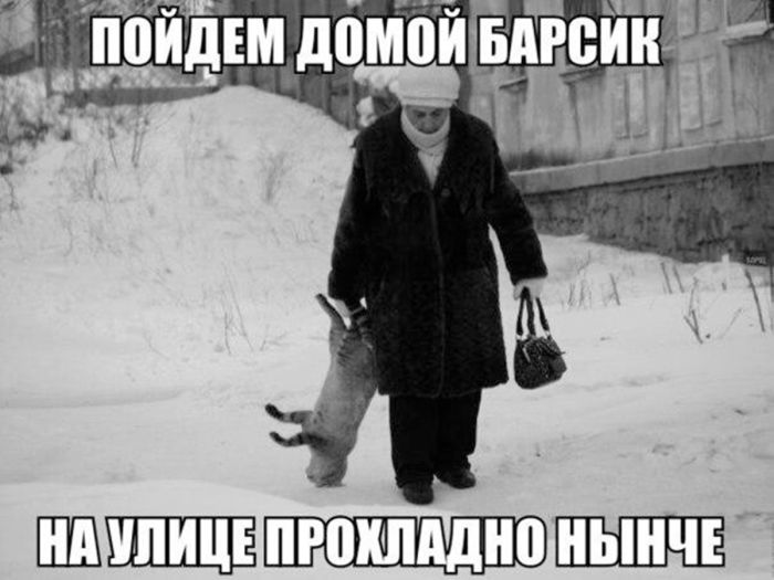 Зимняя хандра? Не, не слышали! Ловите порцию свежих мемов и картинок, чтобы согреться изнутри! Зимняя хандра? Не, не слышали! Ловите порцию свежих мемов и картинок, чтобы согреться изнутри! native-yes