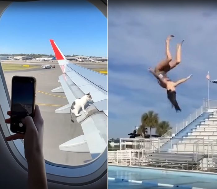 Новый сборник смешных видео с девушками