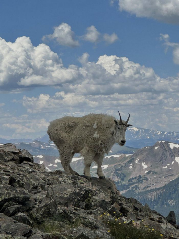 Маленькая пятница– большой позитив! Маленькая пятница– большой позитив! native-yes
