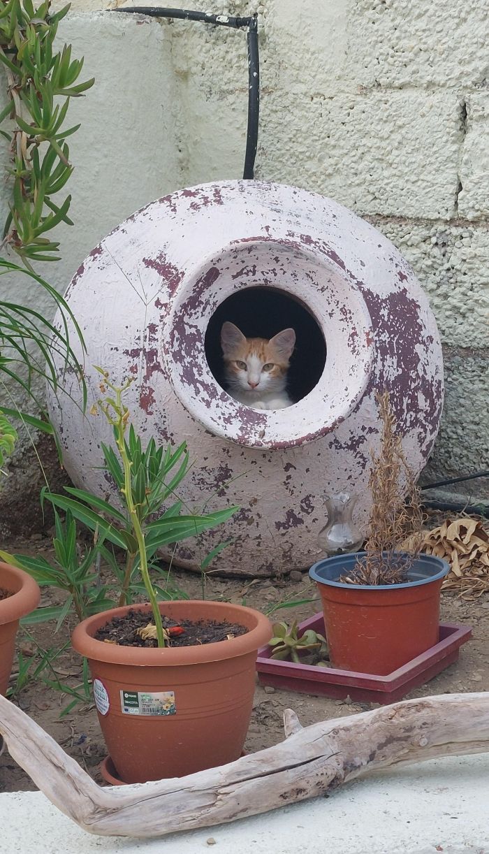 Маленькая пятница– большой позитив! Маленькая пятница– большой позитив! native-yes