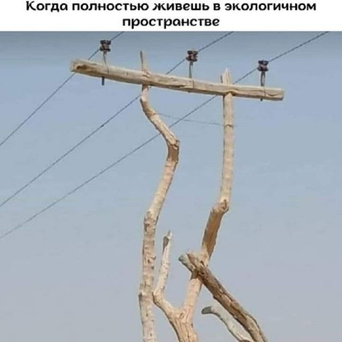 Маленькая пятница– большой позитив! Маленькая пятница– большой позитив! native-yes