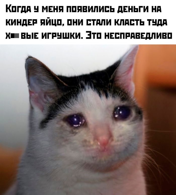 Зимняя хандра? Не, не слышали! Ловите порцию мемов, чтобы улыбка не сходила с лица! native-yes