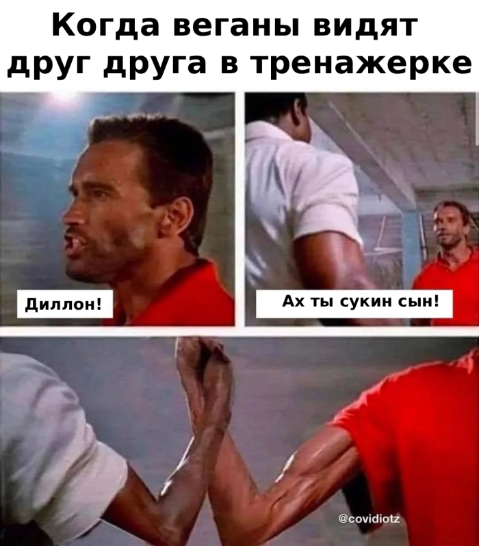 Понедельник с улыбкой: свежие мемы для позитивного старта рабочей недели! native-yes