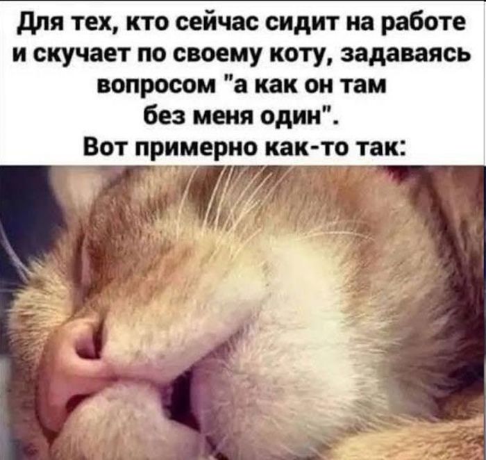 Начни этот день с улыбки! 🎉