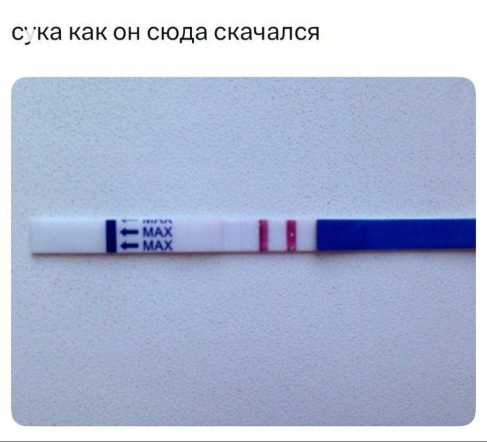 Маленькая пятница уже здесь! Заряжаемся позитивом с лучшими приколами! Маленькая пятница уже здесь! Заряжаемся позитивом с лучшими приколами! native-yes