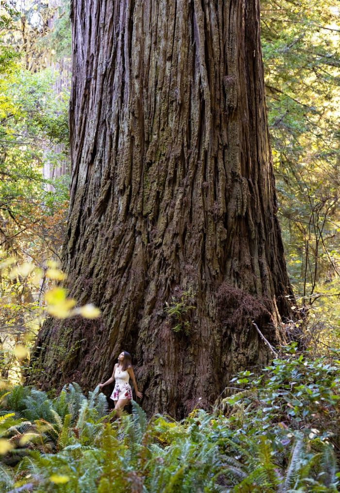 Пятница – время смеяться! Большой сборник шуток и приколов! Пятница – время смеяться! Большой сборник шуток и приколов! native-yes