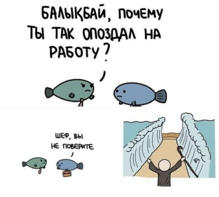 Лучший юмор для старта недели! Лучший юмор для старта недели! native-yes