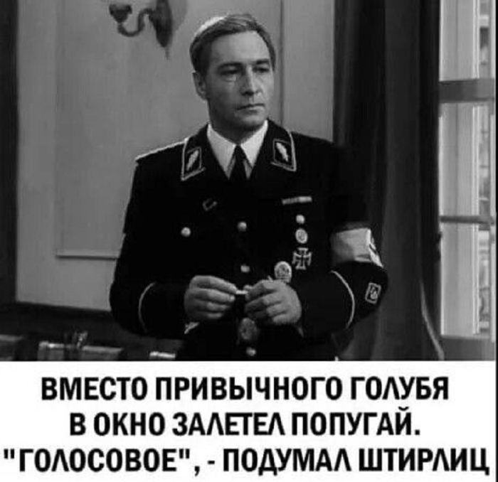 Маленькая пятница– большой позитив! Маленькая пятница– большой позитив! native-yes