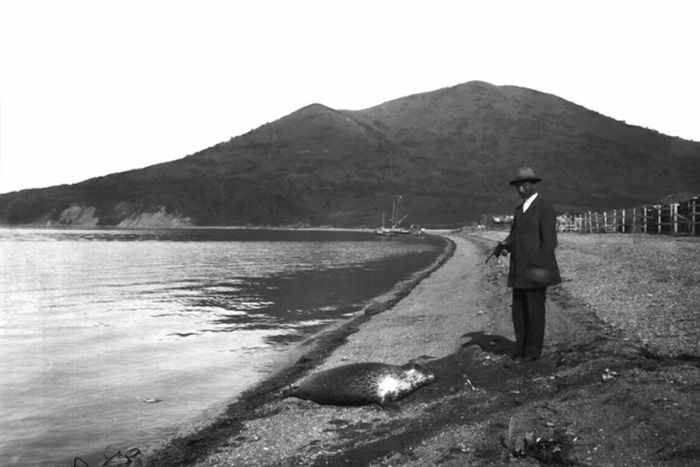 Как Америка чуть не купила у Ленина Камчатку