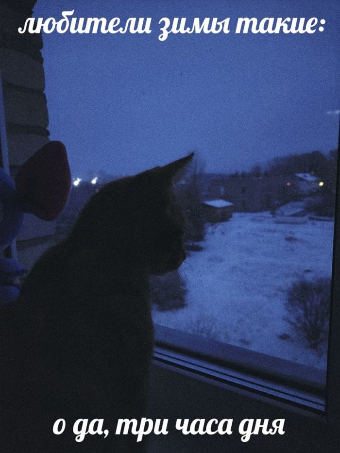 Маленькая пятница уже здесь! Заряжаемся позитивом с лучшими приколами!