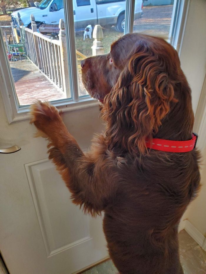 Маленькая пятница– большой позитив! Маленькая пятница– большой позитив! native-yes