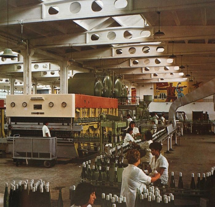 Действительно ли Болгария мечтала войти в состав СССР native-yes