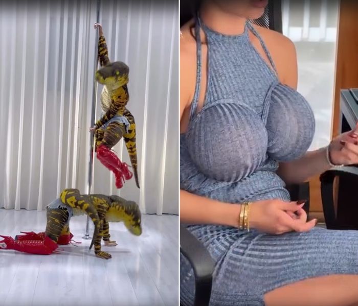 Смешные ролики для поднятия настроения, свежие