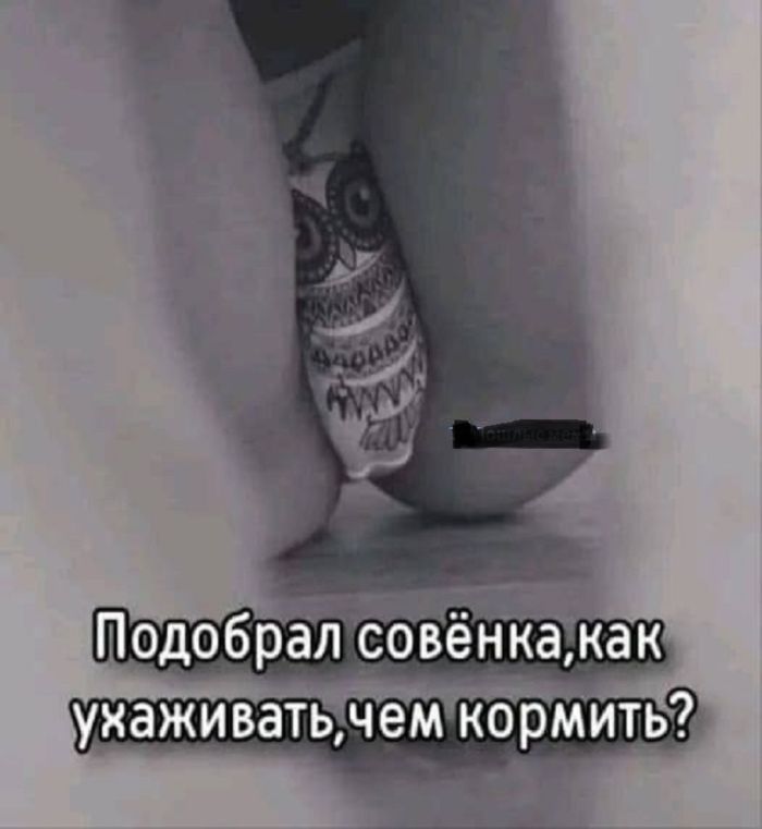 Черный юмор в смешных картинках и пошлых фото