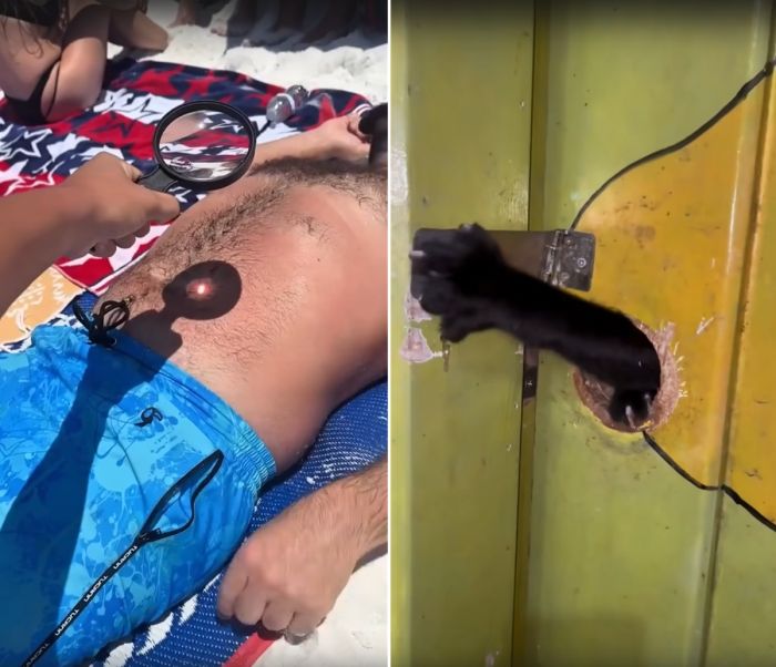 Новые смешные ролики для настроения