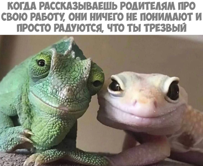 Ура, выходные! Ловите порцию свежих приколов, чтобы настроение было на высоте! native-yes