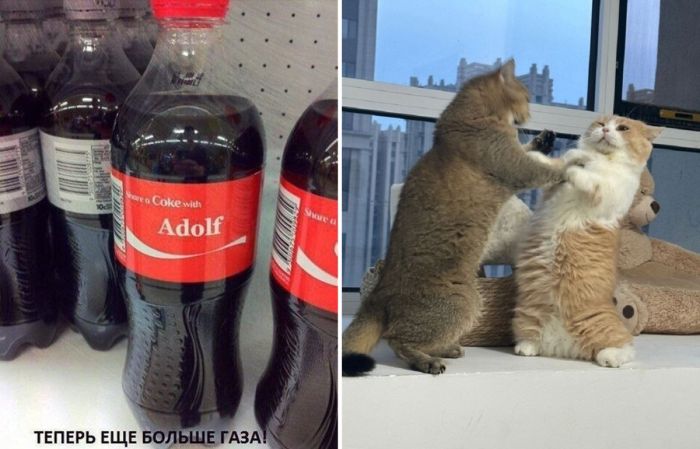 Новые, смешные мемы и самые позитивные фотографии