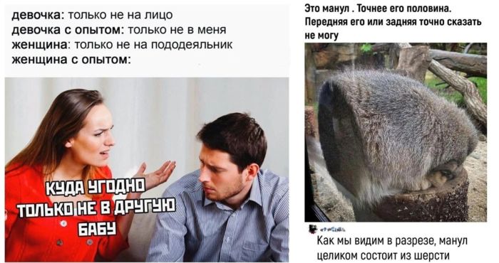 Свежий сборник мемов и комментариев: ваш заряд позитива из соцсетей!