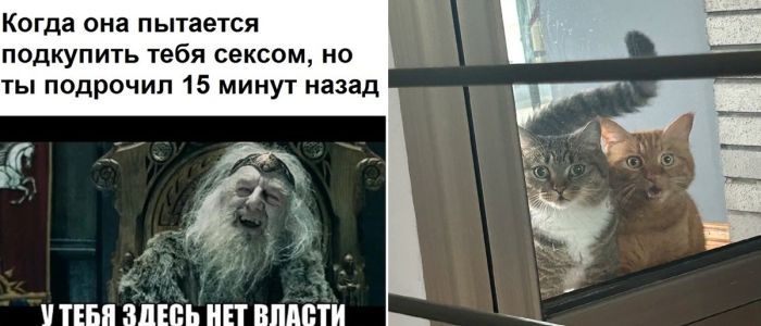 Маленькая пятница: Заряжаемся позитивом и смехом!