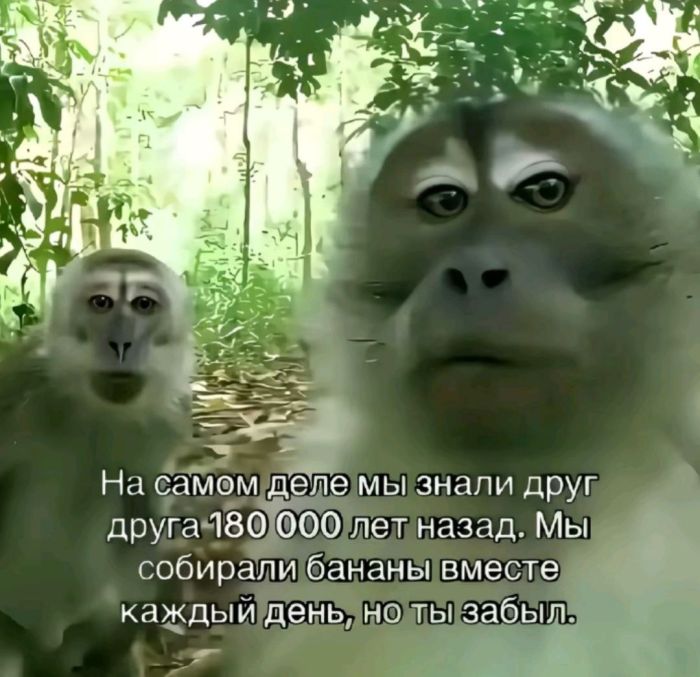 Маленькая пятница– большой позитив! Маленькая пятница– большой позитив! native-yes