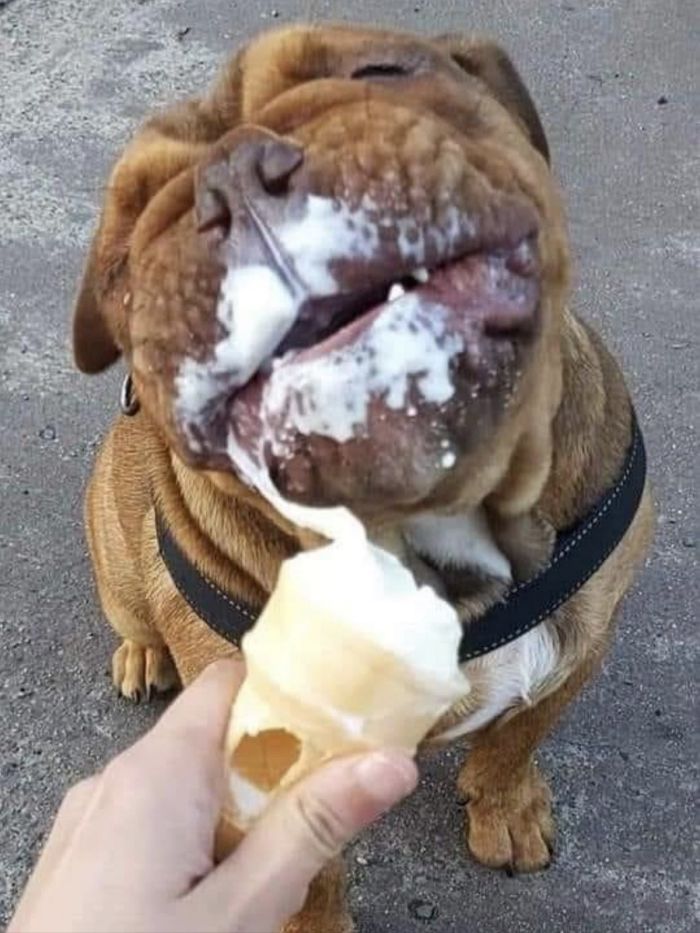 Маленькая пятница– большой позитив! Маленькая пятница– большой позитив! native-yes