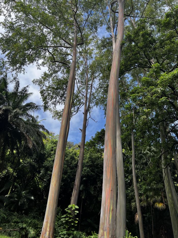 Маленькая пятница– большой позитив! Маленькая пятница– большой позитив! native-yes