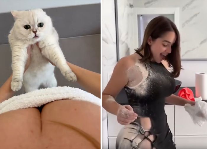 Новые шутки в смешных видео для настроения