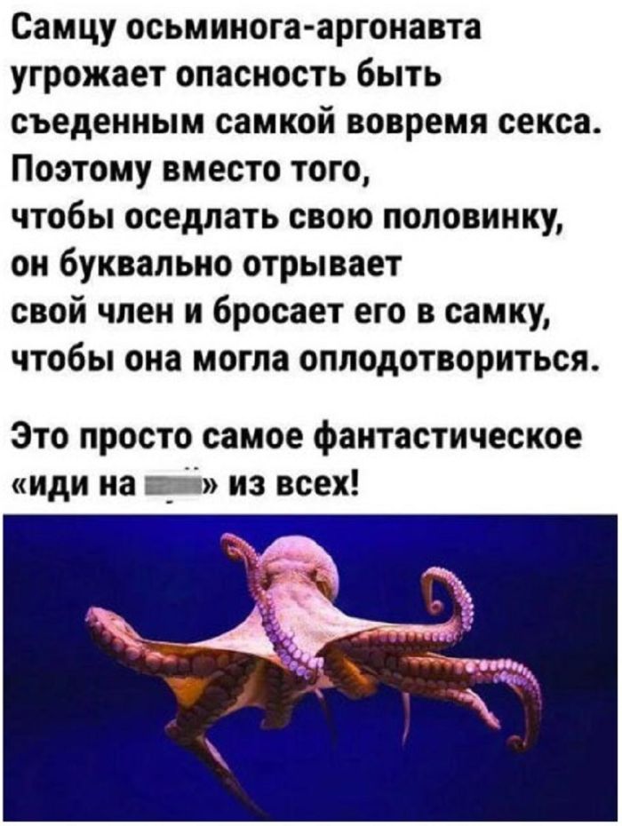 Маленькая пятница– большой позитив! Маленькая пятница– большой позитив! native-yes