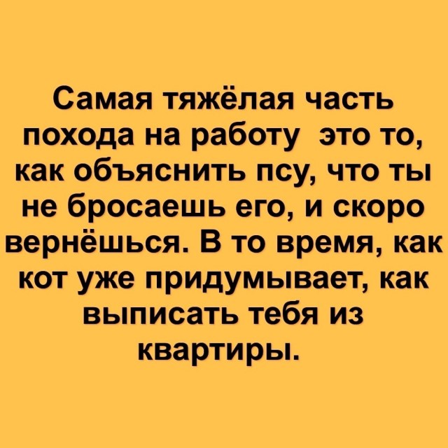 Готовьтесь к выходным с улыбкой! Готовьтесь к выходным с улыбкой! native-yes
