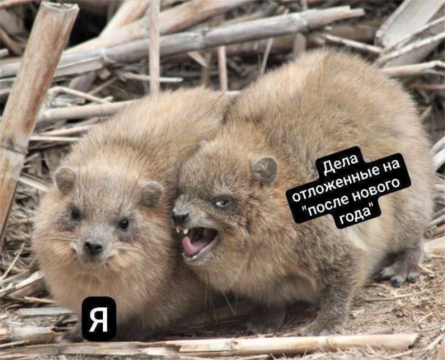 Улыбка на выходные: Ваш заряд позитива! native-yes