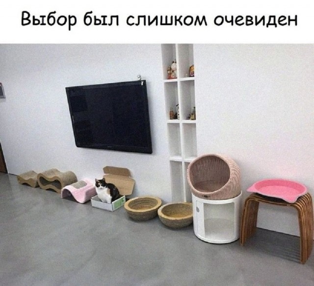 Готовьтесь к выходным с улыбкой! Готовьтесь к выходным с улыбкой! native-yes