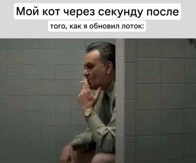 Пятница! А у нас для вас свежая порция мемов и приколов! Пятница! А у нас для вас свежая порция мемов и приколов! native-yes