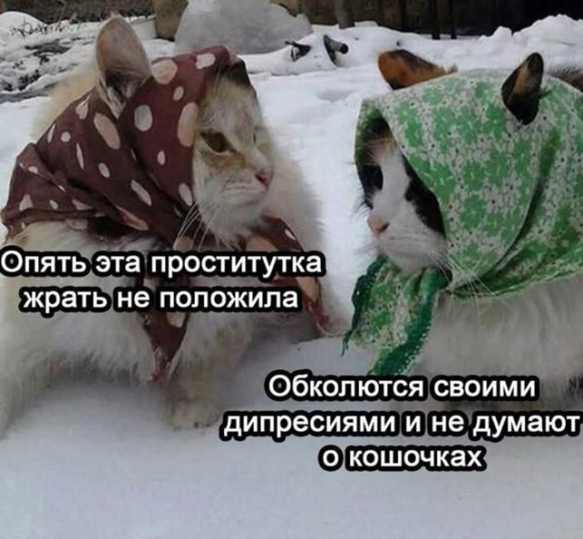 Среда – маленькая пятница! Заряжаемся позитивом с мемами! Среда – маленькая пятница! Заряжаемся позитивом с мемами! native-yes