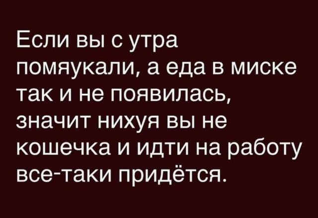 Утро начинается не с кофе, а с улыбки! ️ Подними себе настроение с нашей свежей порцией самых смешных мемов! Утро начинается не с кофе, а с улыбки! ️ Подними себе настроение с нашей свежей порцией самых смешных мемов! native-yes