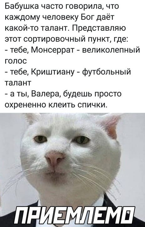 Понедельник? Не беда! Начинаем неделю с улыбки и самых свежих шуток! Понедельник? Не беда! Начинаем неделю с улыбки и самых свежих шуток! native-yes