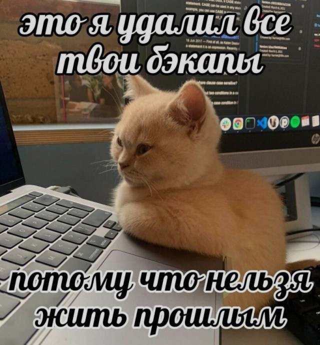 Улыбка на выходные: Ваш заряд позитива! native-yes