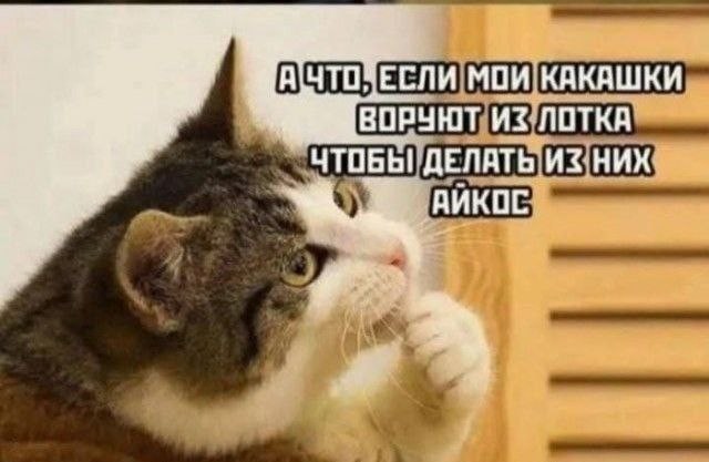 Утро начинается не с кофе, а с улыбки! ️ Подними себе настроение с нашей свежей порцией самых смешных мемов! Утро начинается не с кофе, а с улыбки! ️ Подними себе настроение с нашей свежей порцией самых смешных мемов! native-yes