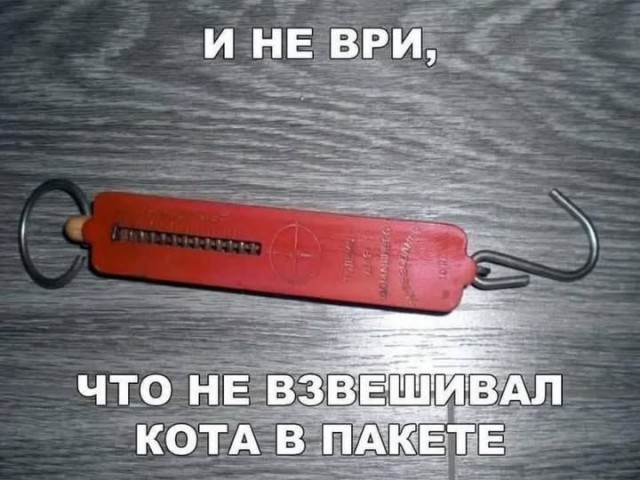 Утро начинается не с кофе, а с улыбки! ️ Подними себе настроение с нашей свежей порцией самых смешных мемов! Утро начинается не с кофе, а с улыбки! ️ Подними себе настроение с нашей свежей порцией самых смешных мемов! native-yes