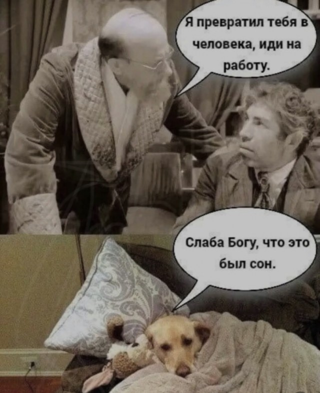 Новый сборник шуток для отличного настроения! Новый сборник шуток для отличного настроения! native-yes