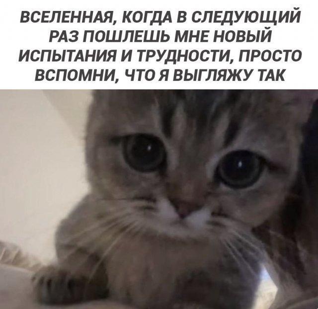 Среда – маленькая пятница! Заряжаемся позитивом с мемами! Среда – маленькая пятница! Заряжаемся позитивом с мемами! native-yes