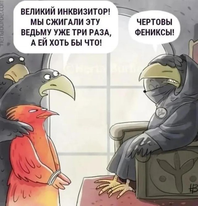 Выходные начинаются с улыбки! Свежая порция юмора для отличного настроения! native-yes